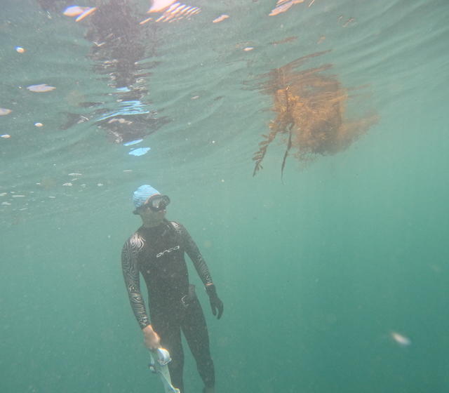 Diving